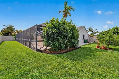a view of a backyard with potted plants and large tree