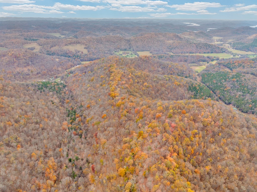 0 Ensor Hollow Road Buffalo Valley, TN 38548 - Photo 12 of 15 a view of a yard with a wooden wall
