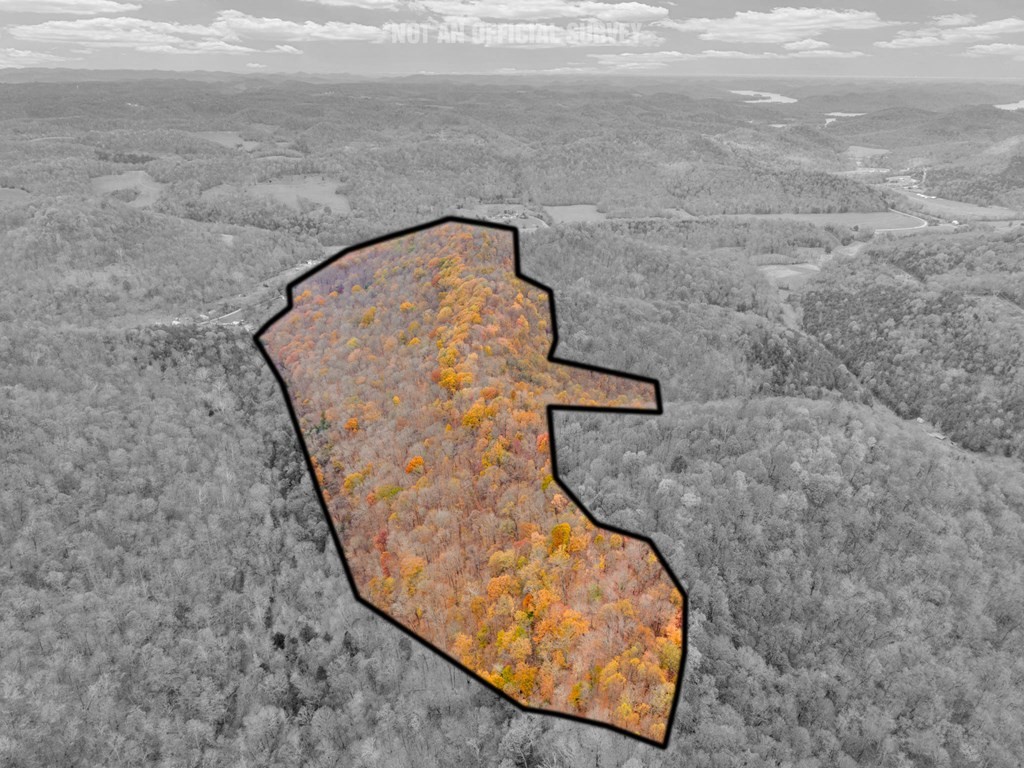 0 Ensor Hollow Road Buffalo Valley, TN 38548 - Photo 13 of 15