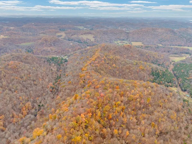 $367,500 | 0 Ensor Hollow Road, Buffalo Valley, TN 38548