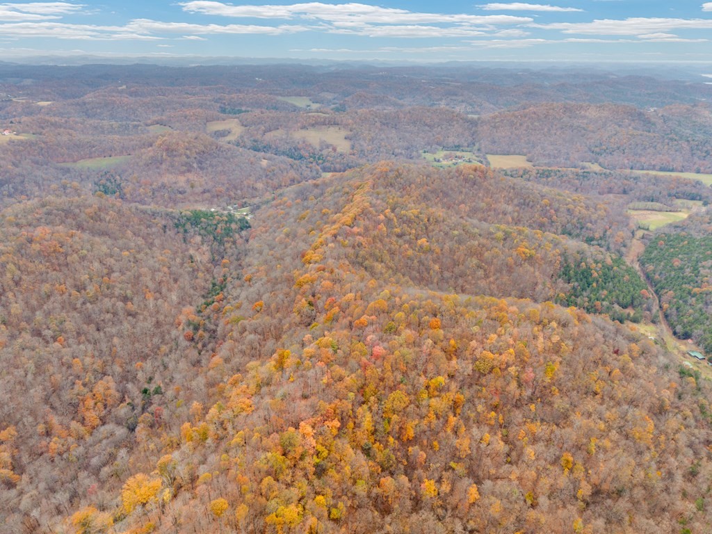 0 Ensor Hollow Road Buffalo Valley, TN 38548 - Photo 14 of 15 a view of a yard with an empty space