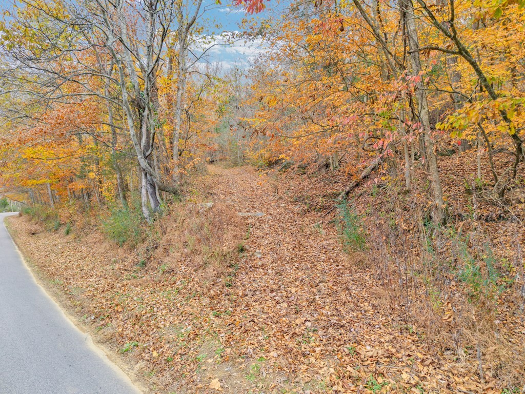 0 Ensor Hollow Road Buffalo Valley, TN 38548 - Photo 2 of 15