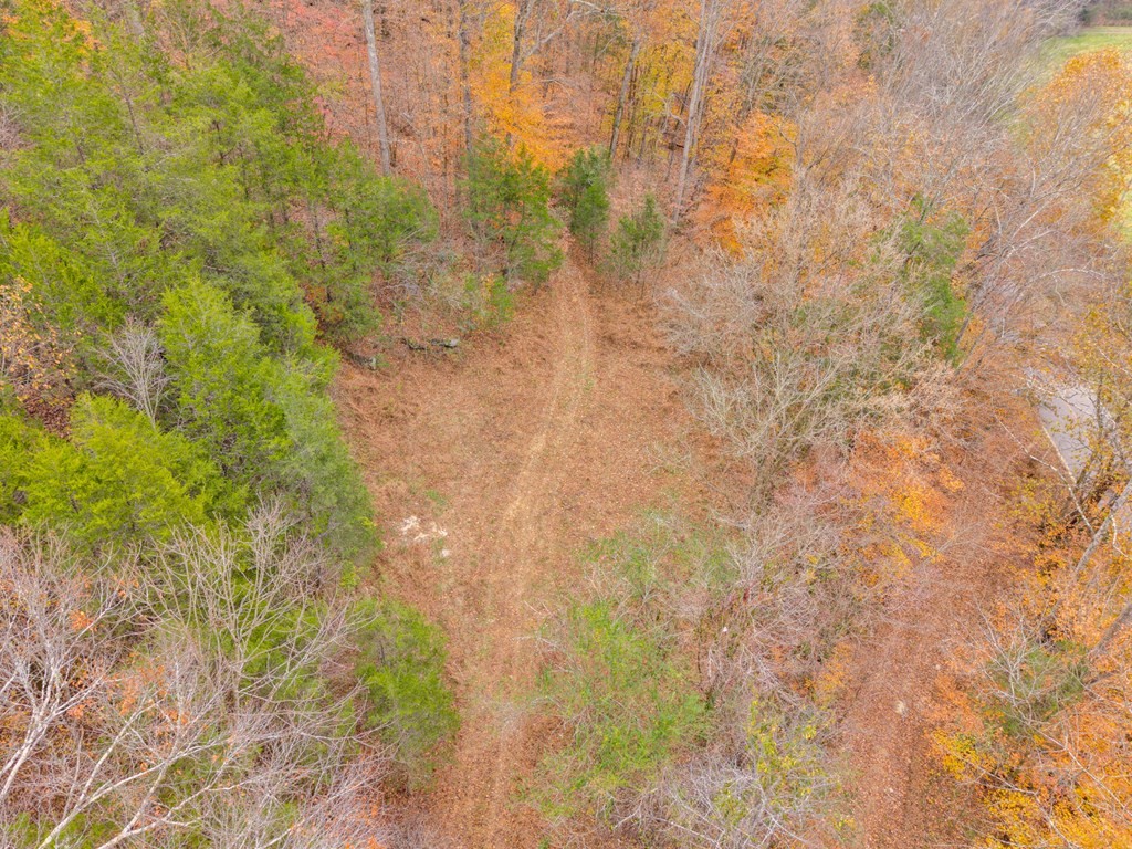 0 Ensor Hollow Road Buffalo Valley, TN 38548 - Photo 3 of 15