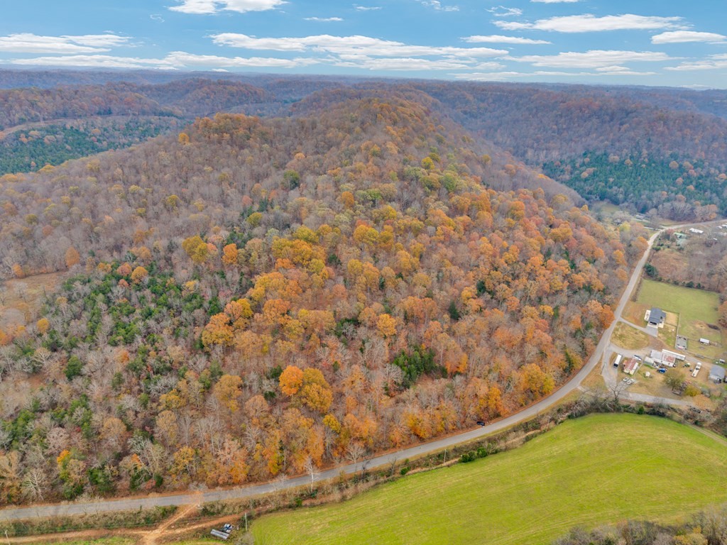 0 Ensor Hollow Road Buffalo Valley, TN 38548 - Photo 7 of 15 a view of an ocean