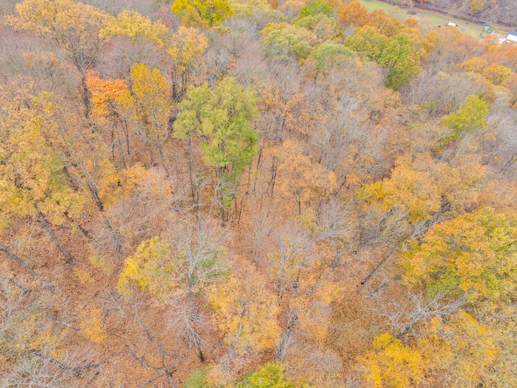 0 Ensor Hollow Road Buffalo Valley, TN 38548 - Photo 10 of 15 a close up of snow