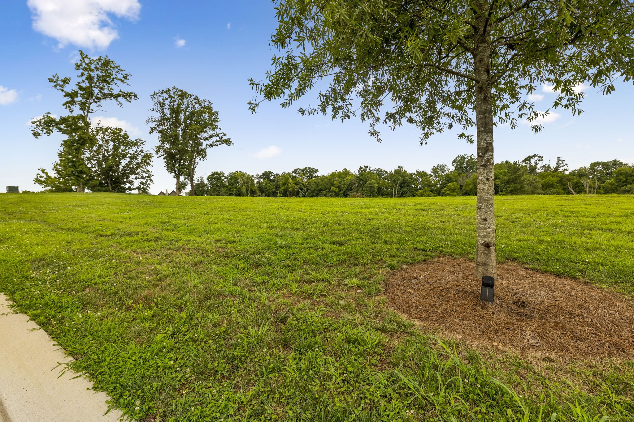 7588 Trident Ridge Road College Grove, TN 37046 - Photo 17 of 26
