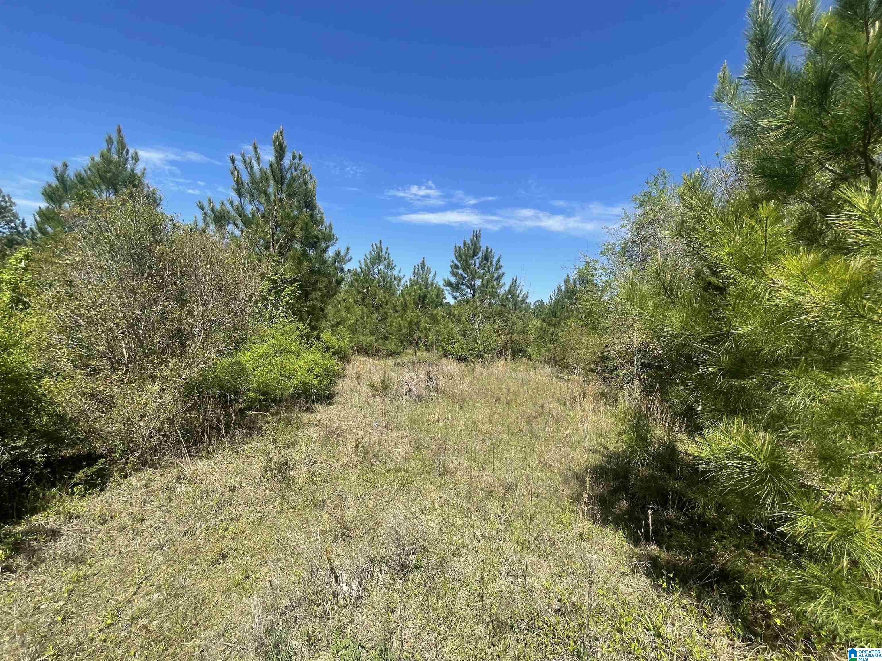 0 Richardson Road Brewton, AL 36426 - Photo 31 of 47