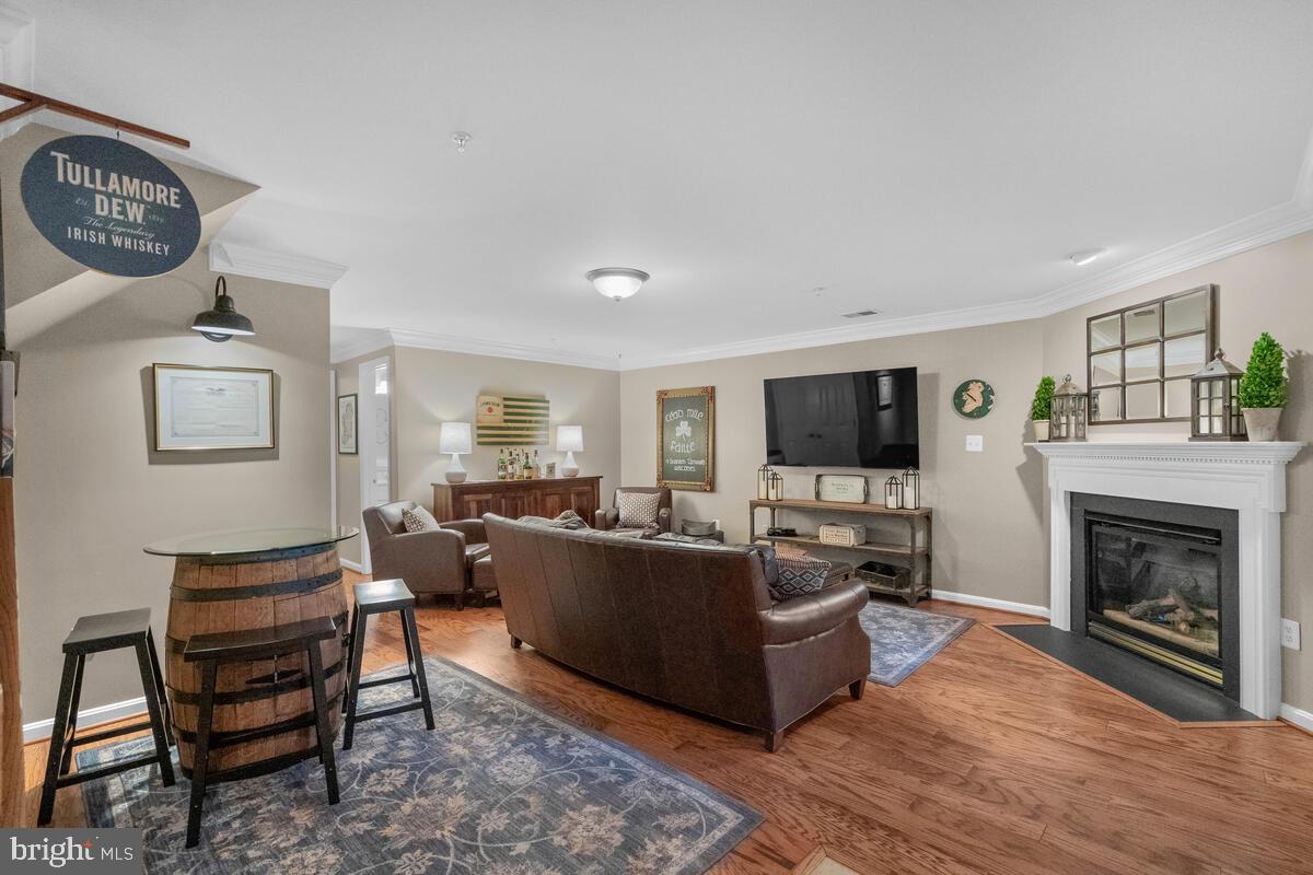 354 Hart Road Gaithersburg, MD 20878 - Photo 35 of 66 Lower Level - Family Room with Gas Fireplace