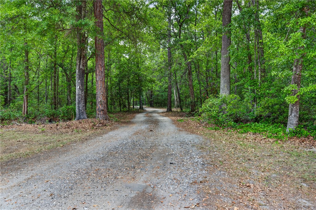 34 Barrett Cemetery Road Northeast Ludowici, GA 31316 - Photo 3 of 54