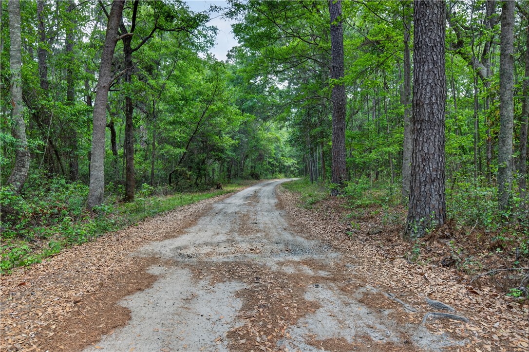 34 Barrett Cemetery Road Northeast Ludowici, GA 31316 - Photo 4 of 54