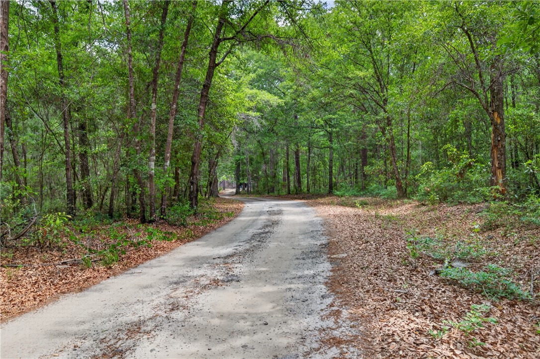 34 Barrett Cemetery Road Northeast Ludowici, GA 31316 - Photo 5 of 54
