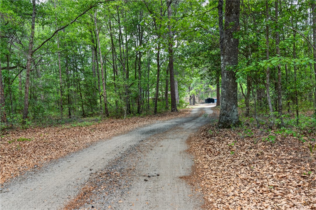 34 Barrett Cemetery Road Northeast Ludowici, GA 31316 - Photo 6 of 54