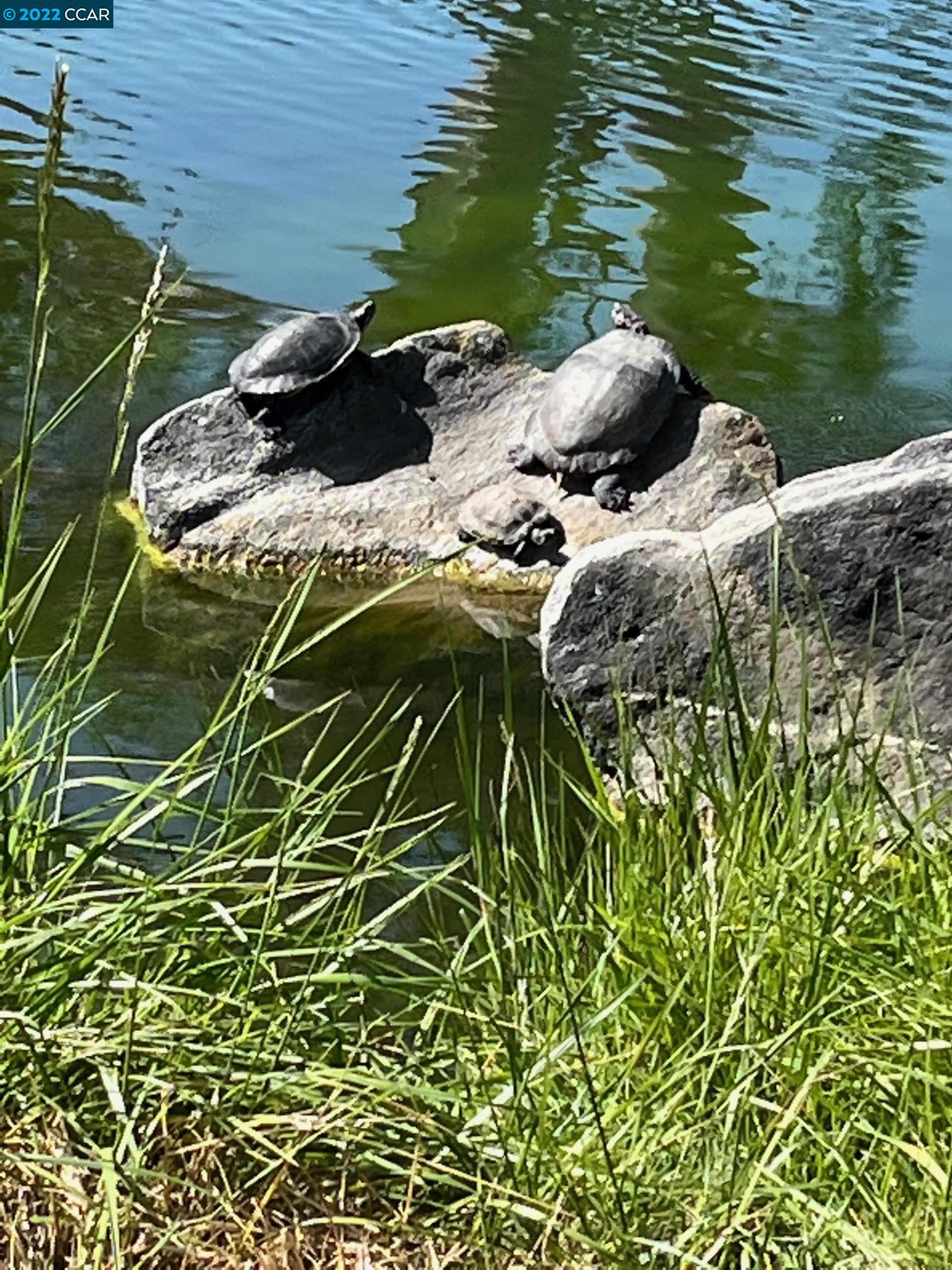 4387 Fallbrook Road Concord, CA 94521 - Photo 24 of 26