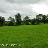 Ayoub Road Pleasant Mount, PA 18453 - Photo 2 of 8
