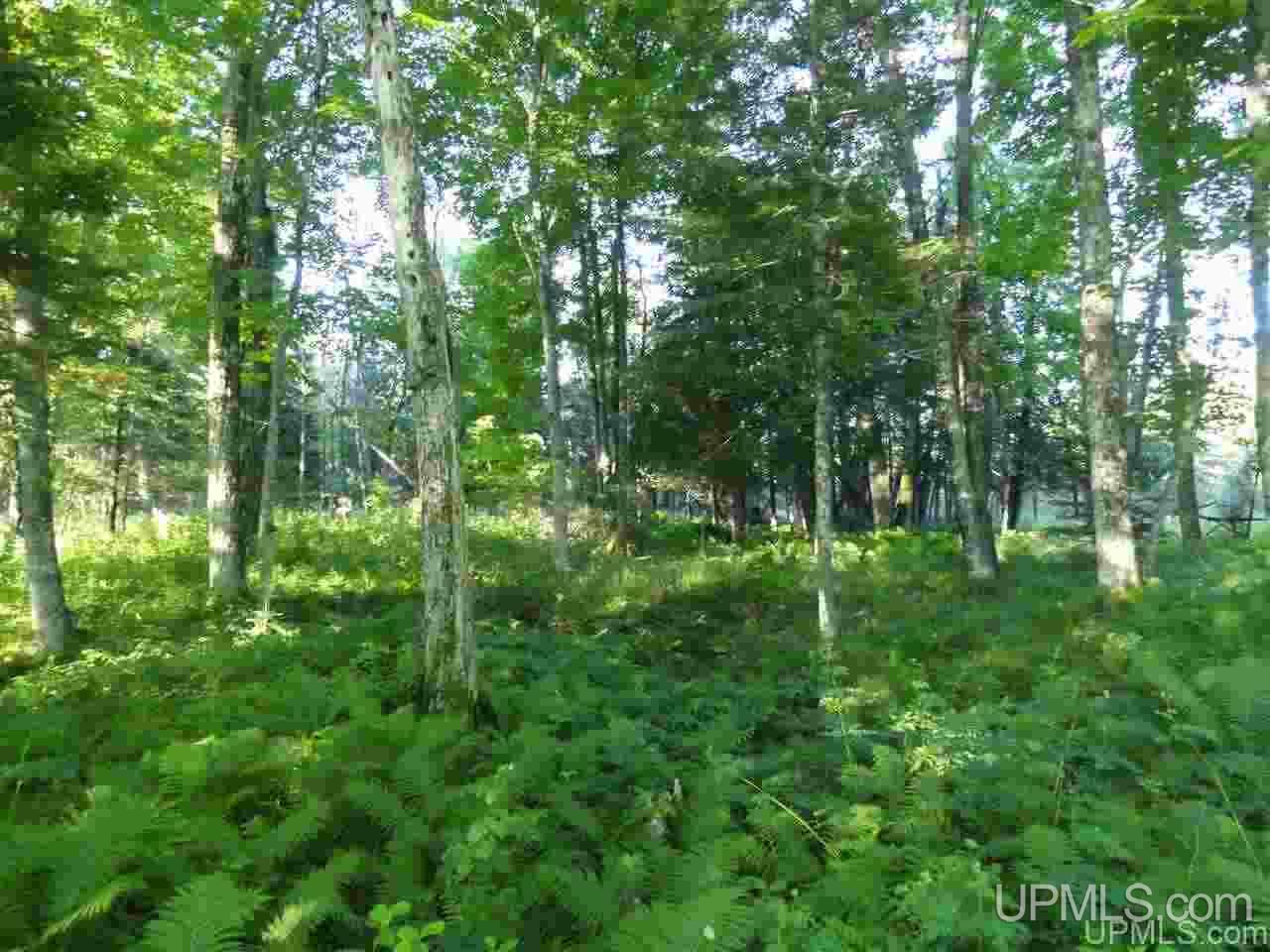 11918 T Road Rapid River, MI 49878 - Photo 24 of 49 Gallery Image 24