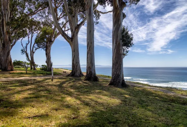 $5,199,000 | 365 Race Horse Lane, Watsonville, CA 95076