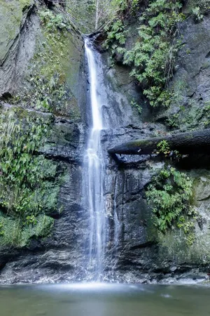 $5,199,000 | 365 Race Horse Lane, Watsonville, CA 95076