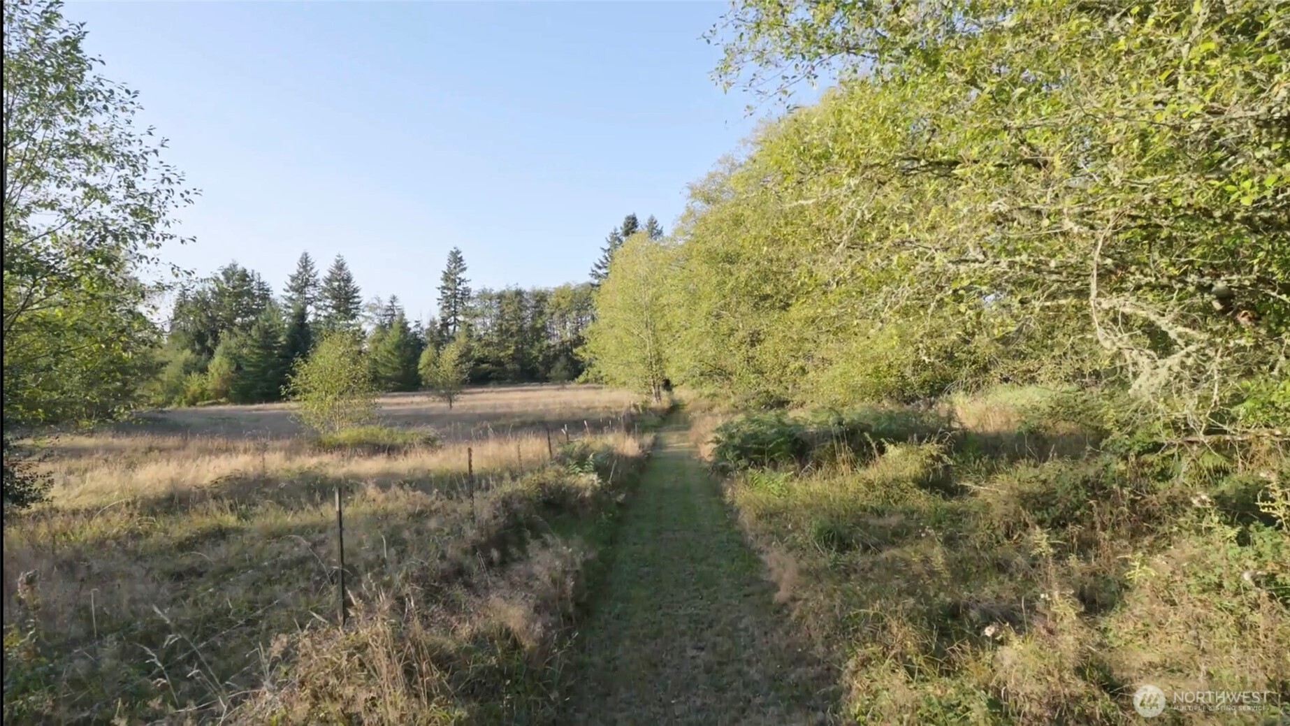 429 Burnt Ridge Road Onalaska, WA 98570 - Photo 39 of 40 Gallery Image 39