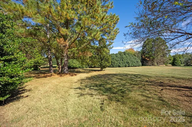 a view of yard with large trees