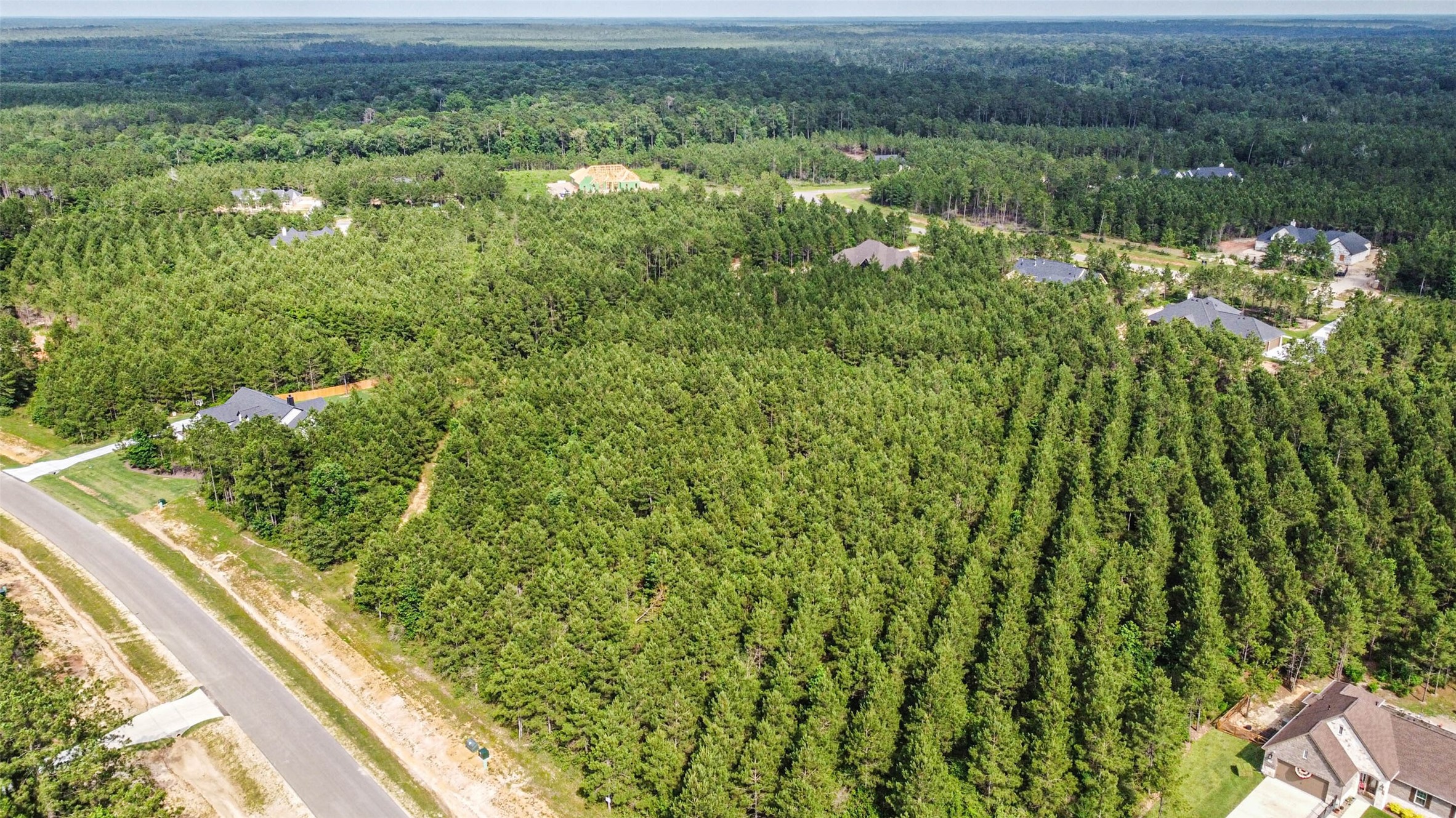 15921 Ridge Oak Road Willis, TX 77378 - Photo 12 of 20