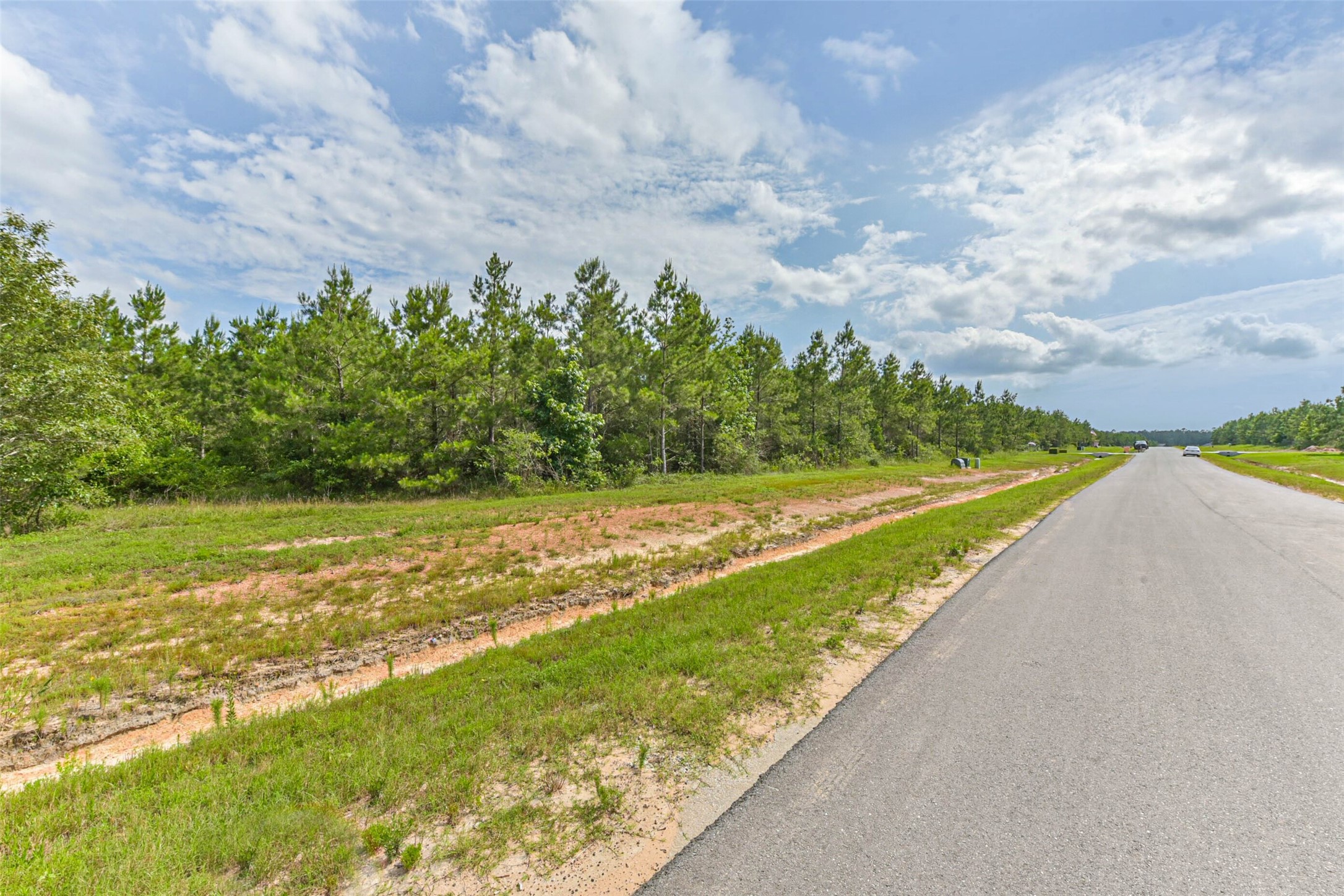 15921 Ridge Oak Road Willis, TX 77378 - Photo 16 of 20 a view of a yard with an trees
