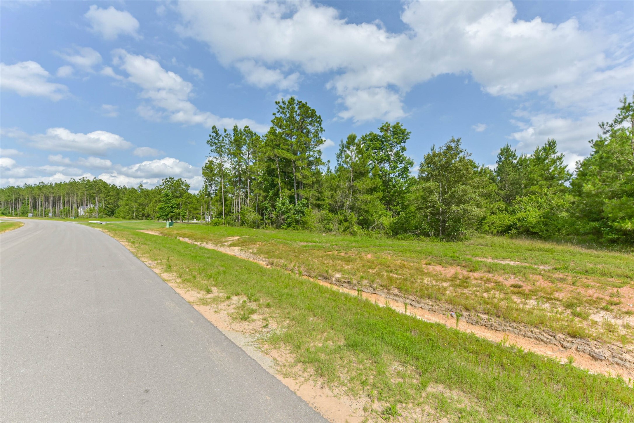 15921 Ridge Oak Road Willis, TX 77378 - Photo 17 of 20 a view of a big yard with large trees