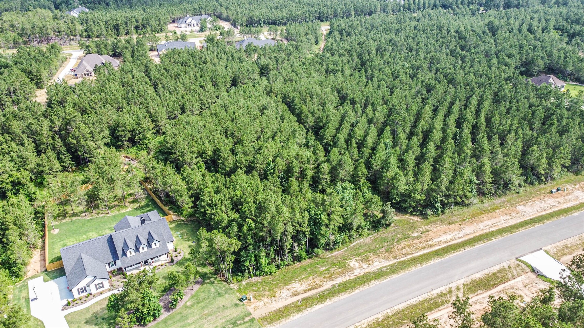 15921 Ridge Oak Road Willis, TX 77378 - Photo 4 of 20 a view of a garden from a window