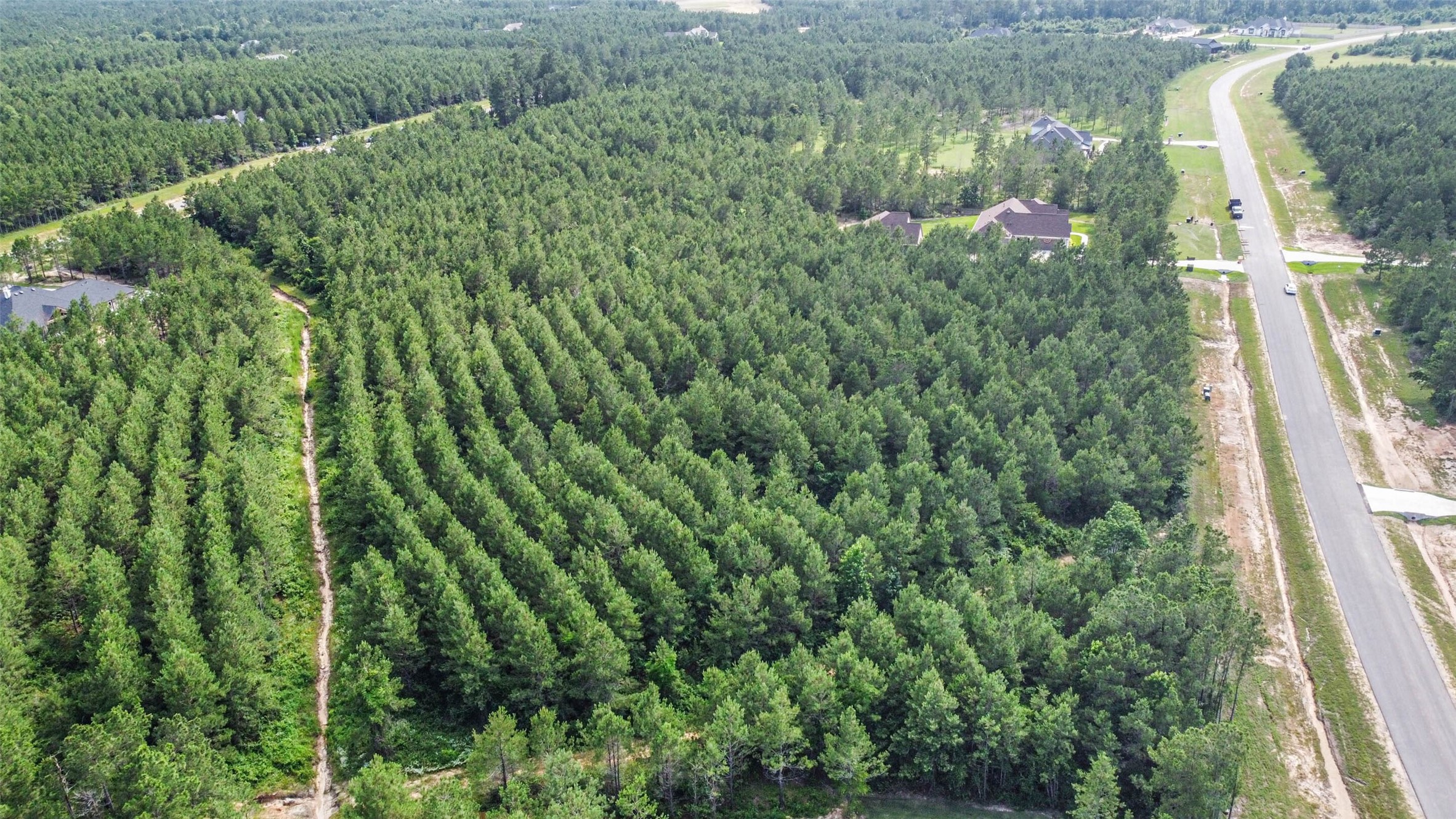 15921 Ridge Oak Road Willis, TX 77378 - Photo 6 of 20 a view of a garden with plants