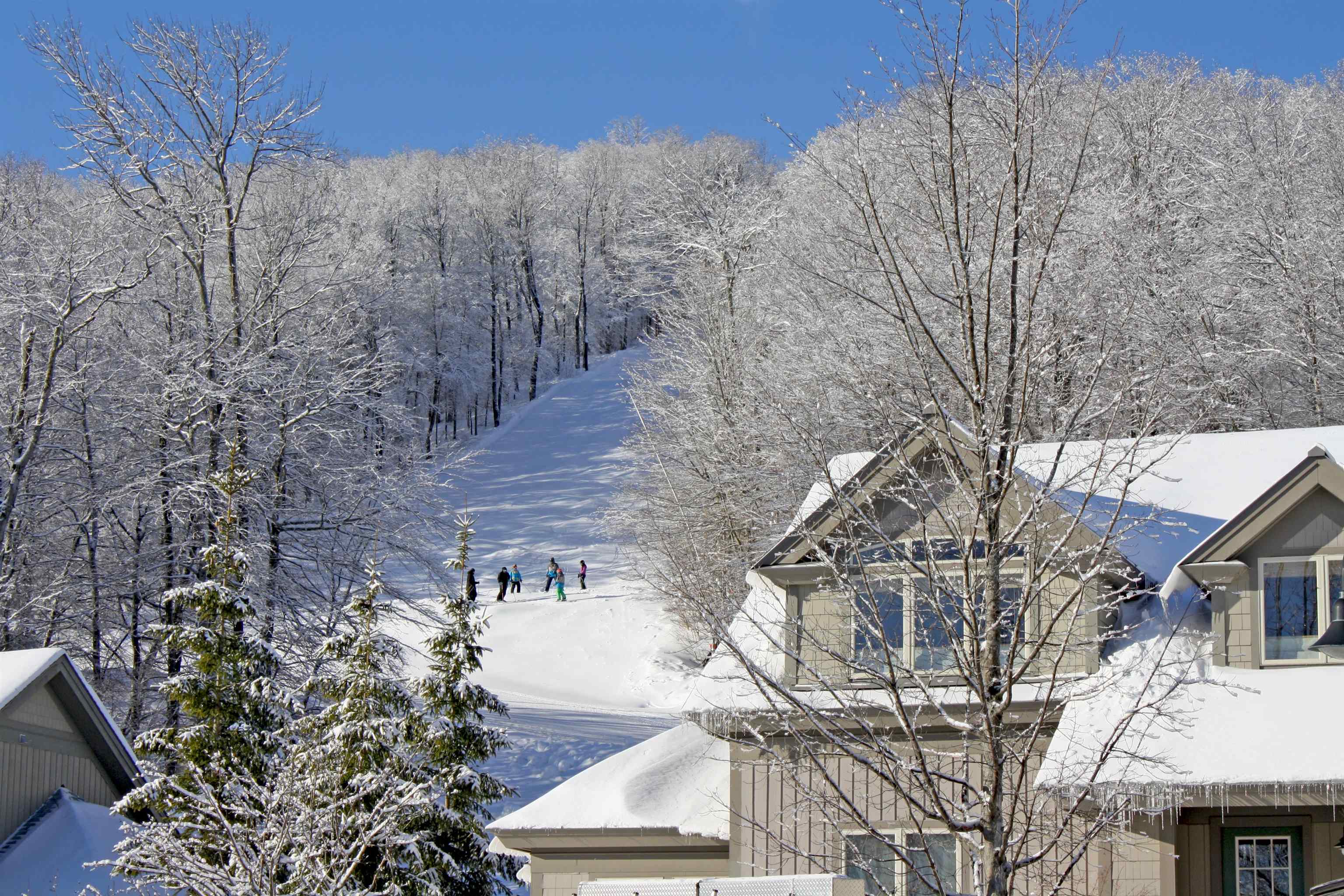 51 Alpine Way, Unit A4 Ludlow, VT 05149 - Photo 32 of 38 Gallery Image 32