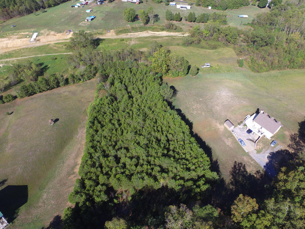 Lot 17 Ted Moore Road Dandridge, TN 37725 - Photo 11 of 14 11