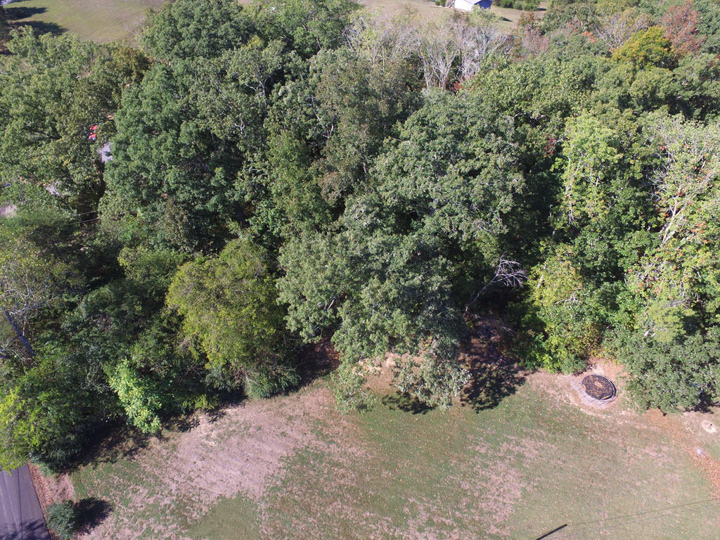 Lot 17 Ted Moore Road Dandridge, TN 37725 - Photo 4 of 14 4