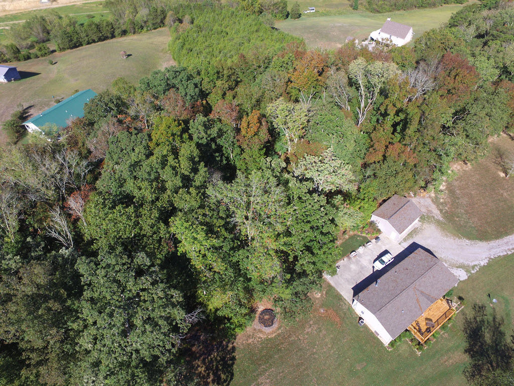 Lot 17 Ted Moore Road Dandridge, TN 37725 - Photo 5 of 14 5