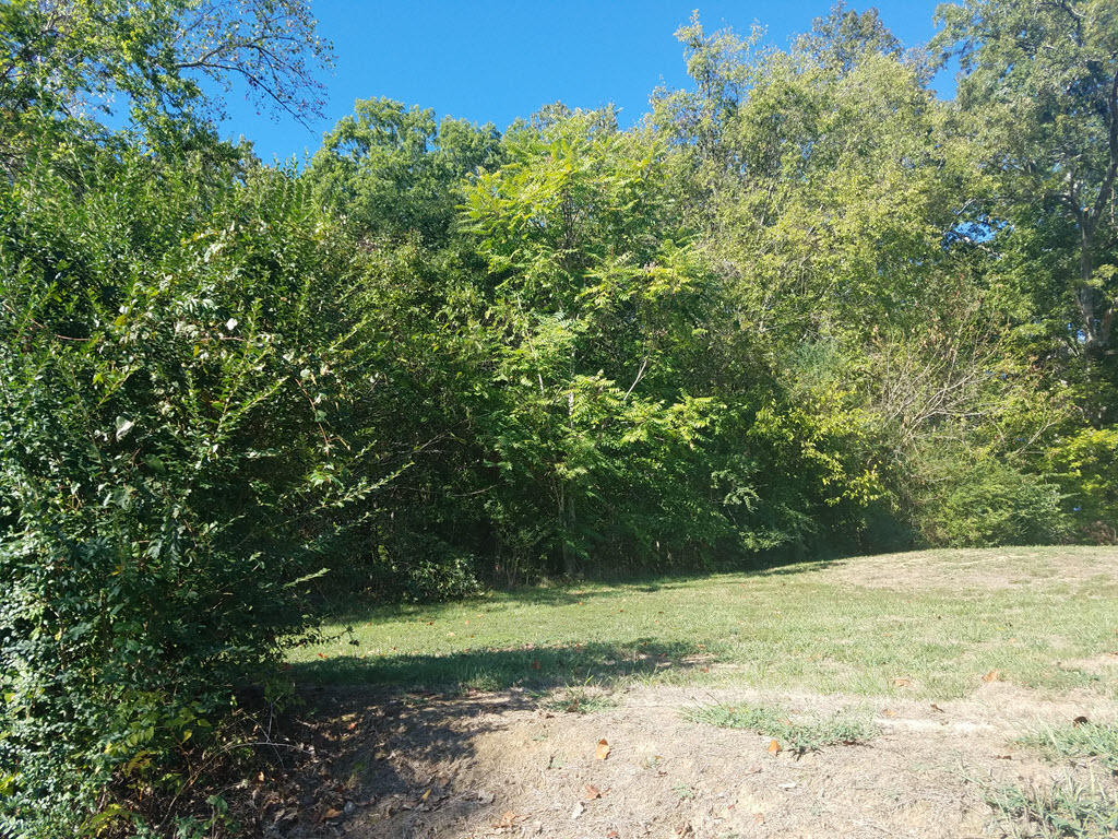 Lot 17 Ted Moore Road Dandridge, TN 37725 - Photo 8 of 14 8