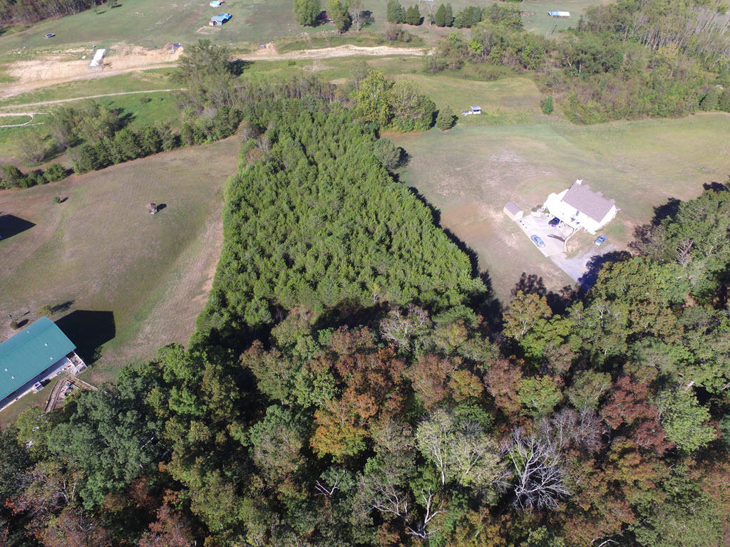 Lot 17 Ted Moore Road Dandridge, TN 37725 - Photo 10 of 14 10