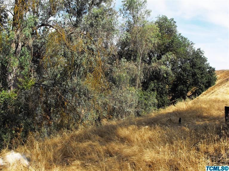 0 Northeast Ne Corner Reedley, CA 93654 - Photo 5 of 5 Additional Photo