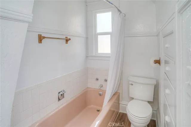 a view of a park with plants and trees