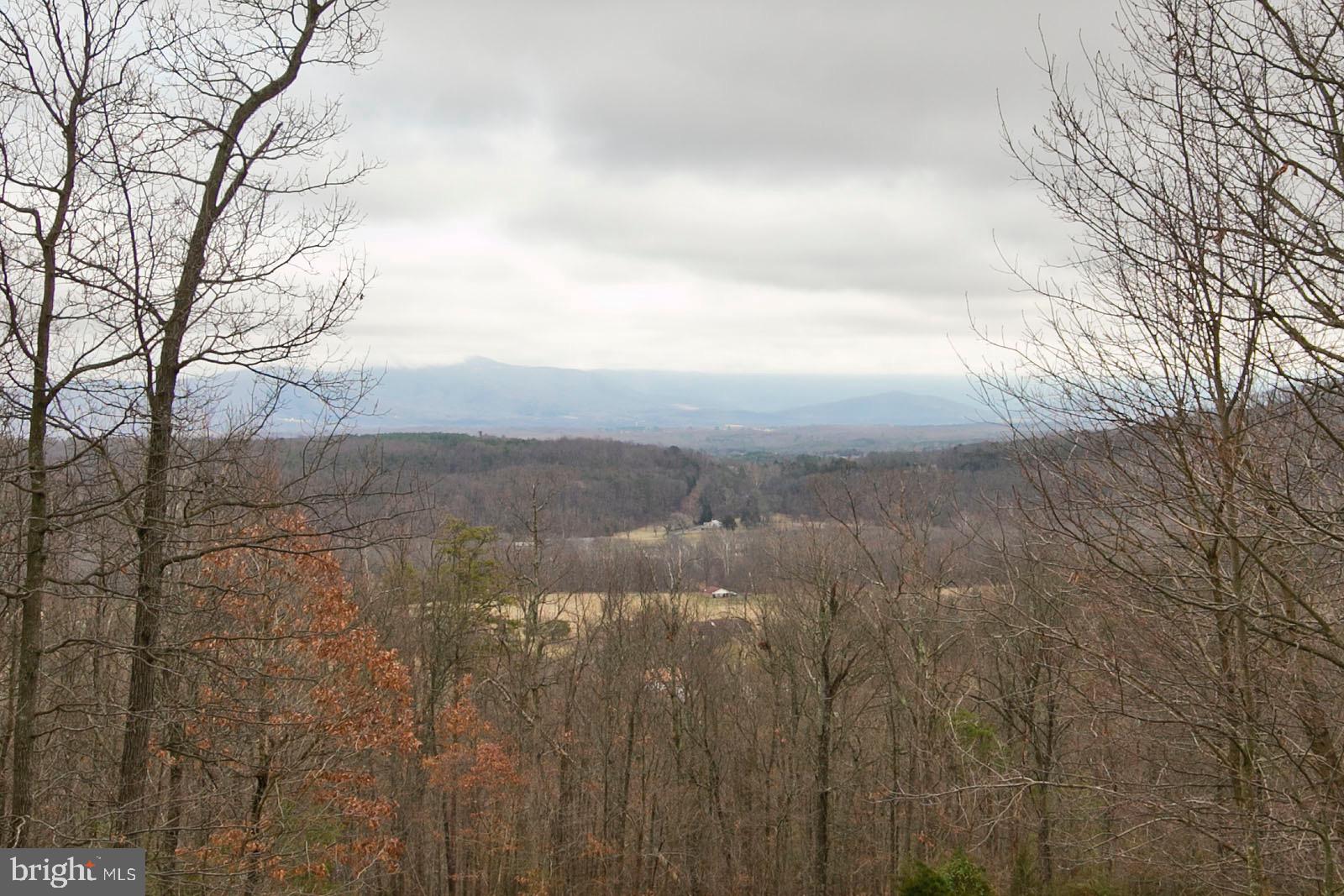 625 Lower Valley Road Strasburg, VA 22657 - Photo 2 of 57