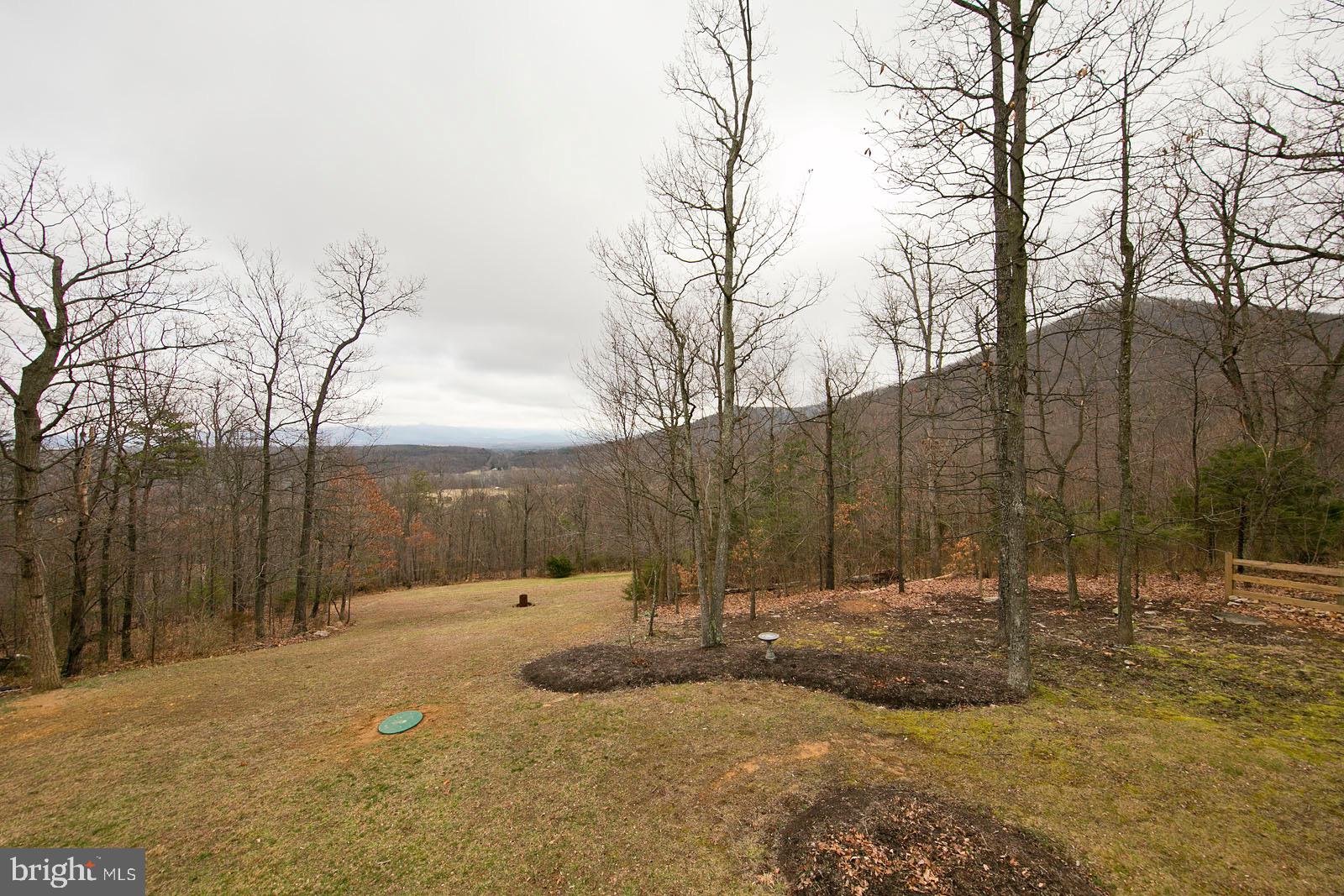 625 Lower Valley Road Strasburg, VA 22657 - Photo 40 of 57