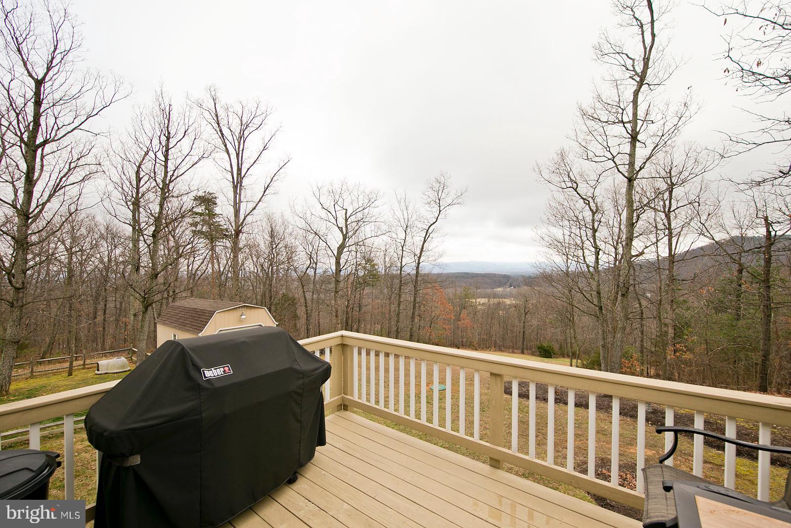 625 Lower Valley Road Strasburg, VA 22657 - Photo 41 of 57