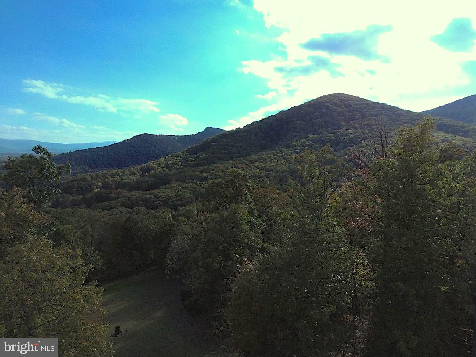 625 Lower Valley Road Strasburg, VA 22657 - Photo 56 of 57 Drone View - GW National Forest is less than 2 min