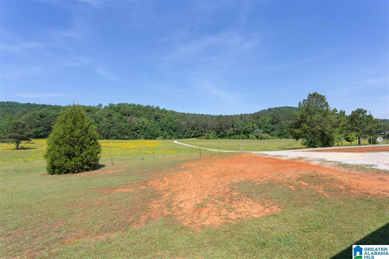 2614 Red Rd 55 Anniston, AL 36207 - Photo 9 of 30