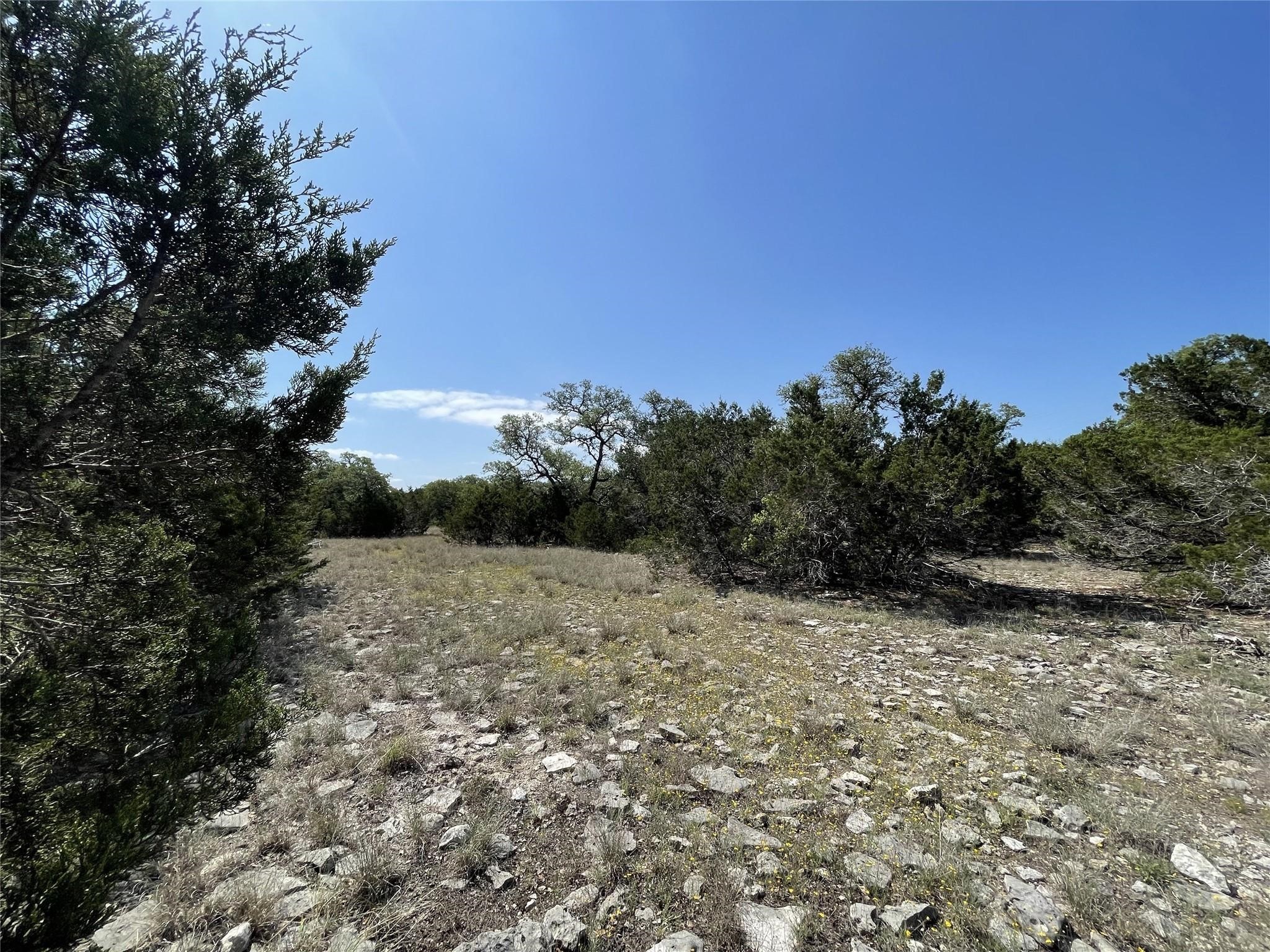 1117 Madrone Road Fischer, TX 78623 - Photo 1 of 11 a view of a yard