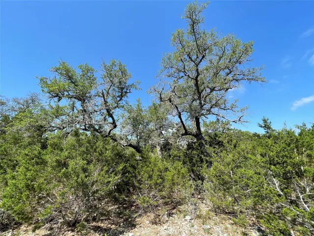 a view of a flower in a garden
