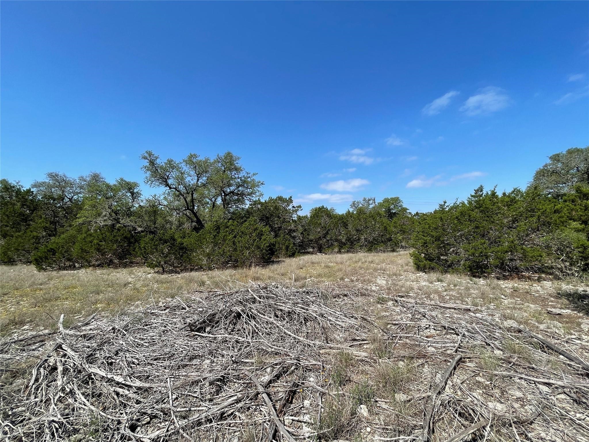 1117 Madrone Road Fischer, TX 78623 - Photo 4 of 11 a view of an outdoor space with mountain view