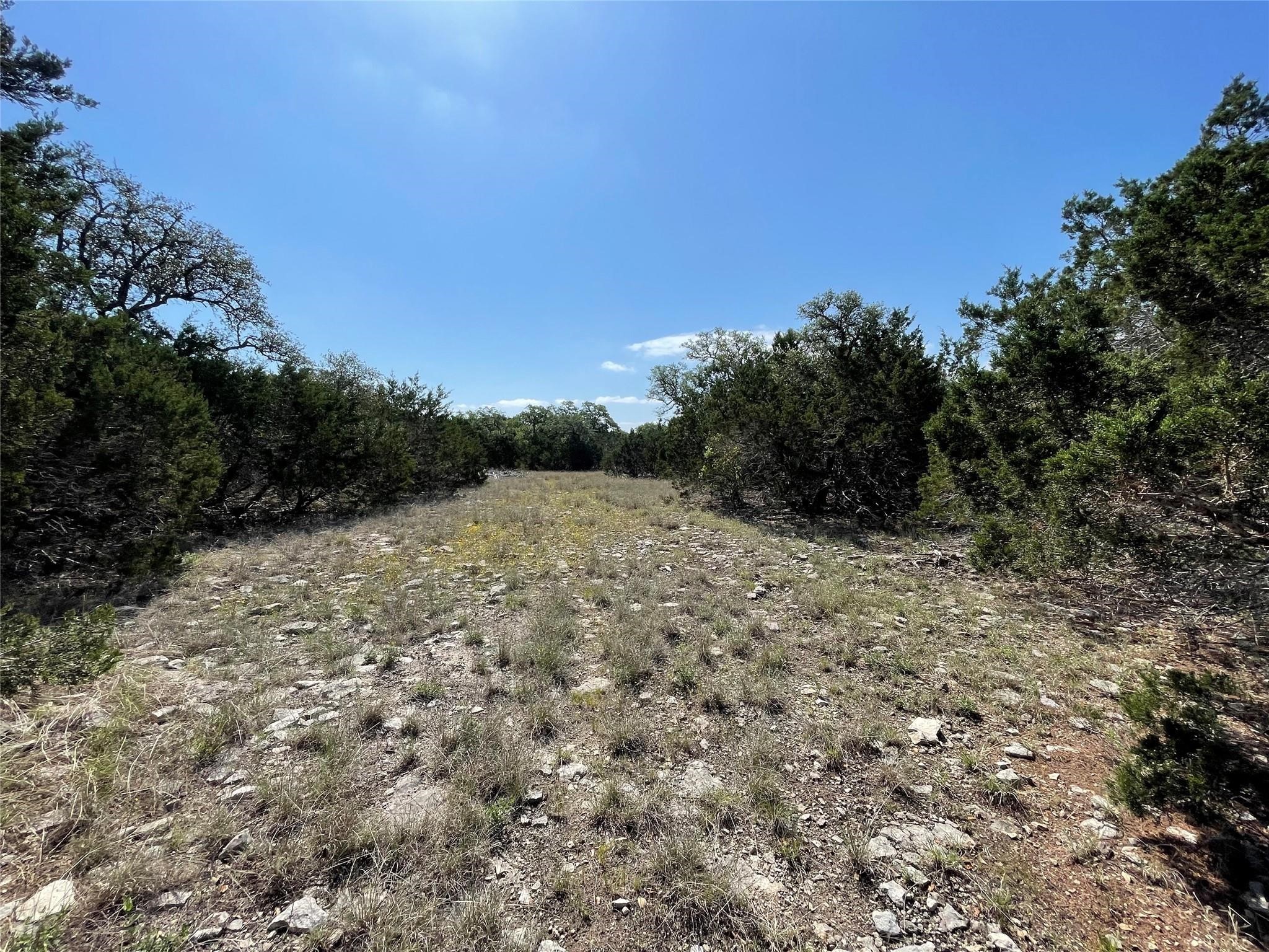 1117 Madrone Road Fischer, TX 78623 - Photo 5 of 11 a view of a field