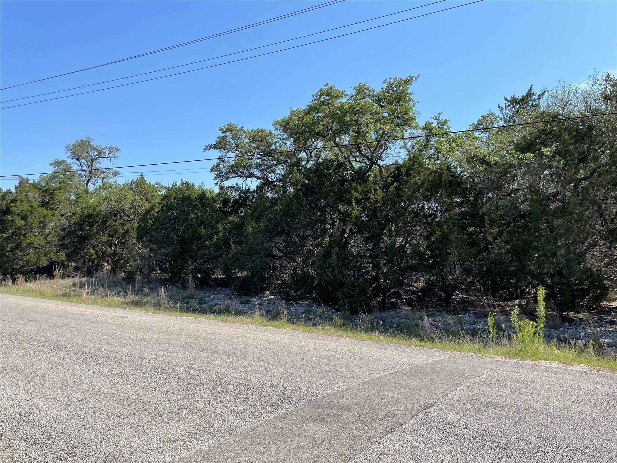 1117 Madrone Road Fischer, TX 78623 - Photo 8 of 11 a view of a yard with potted plants and large trees