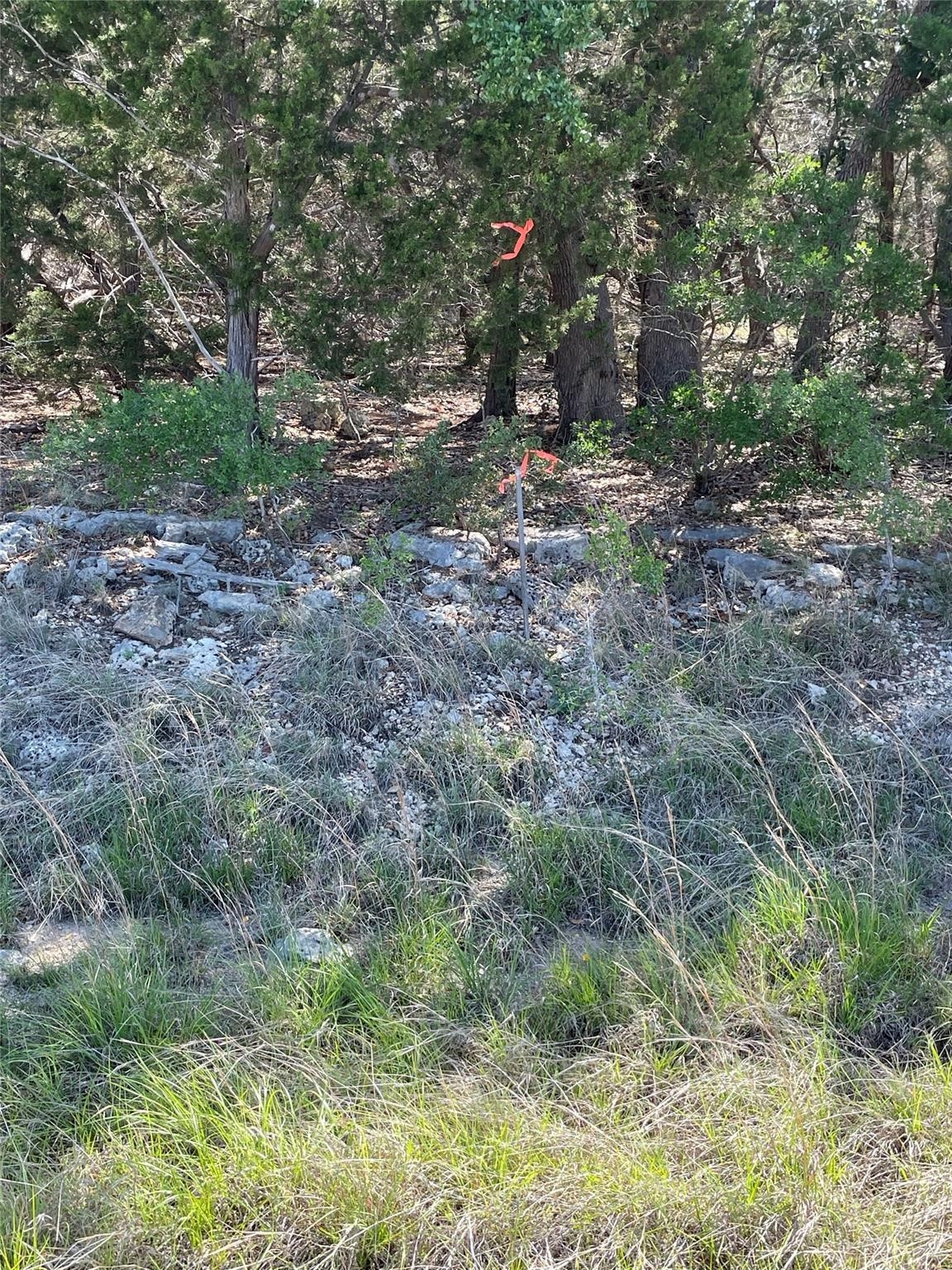 1117 Madrone Road Fischer, TX 78623 - Photo 9 of 11 a view of a yard with a tree