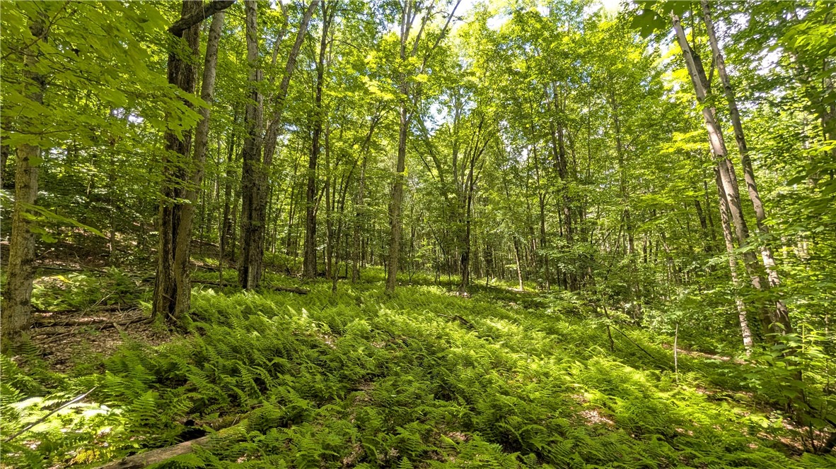 201 Sunrise Mountain Road Kortright, NY 13739 - Photo 36 of 49