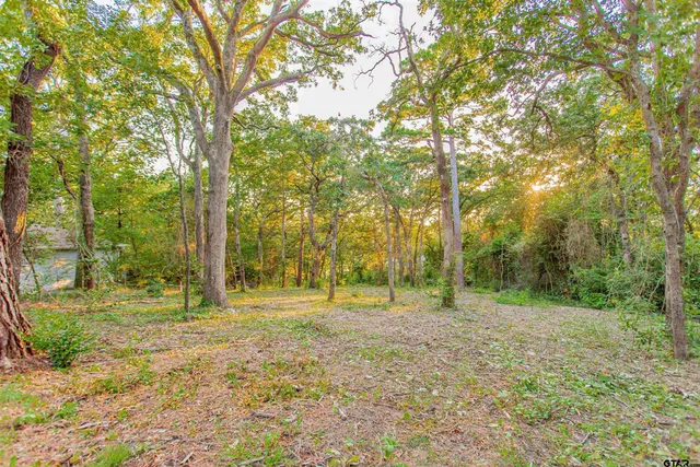 $29,500 | 514 Dogwood Lane, Hideaway, TX 75771