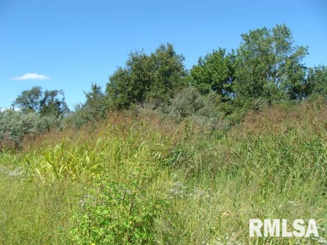 0 Bandyville Road Herrin, IL 62948 - Photo 4 of 9 Gallery Image 4